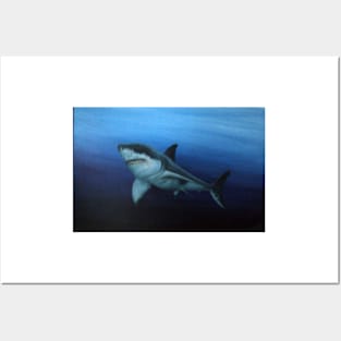 GREAT WHITE SHARK Posters and Art